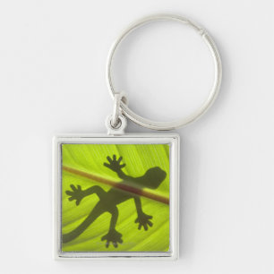 Gecko Schlüsselanhänger