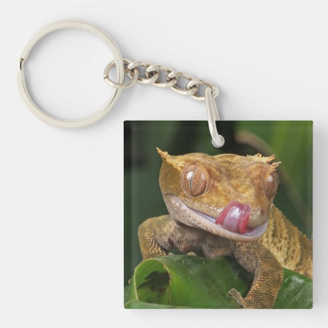 Gecko Schlüsselanhänger (Vorderseite)