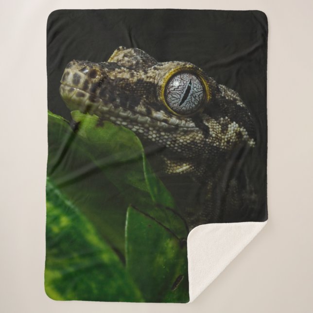 GECKO SHERPADECKE (Vorderseite)