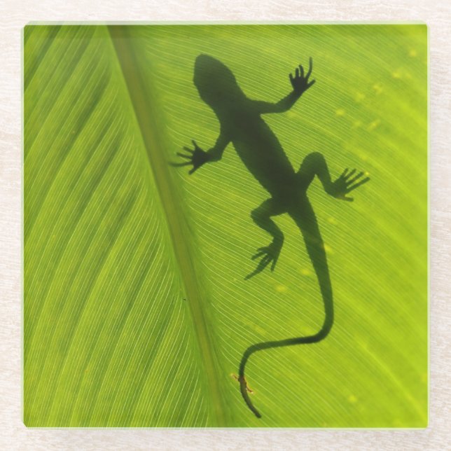 Gecko-Silhouette Glasuntersetzer (Vorderseite)