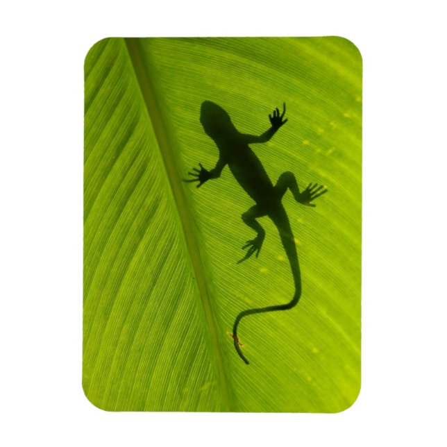 Gecko Silhouette Magnet (Vertikal)