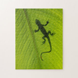 Gecko-Silhouette Puzzle