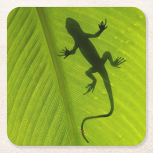 Gecko-Silhouette Rechteckiger Pappuntersetzer