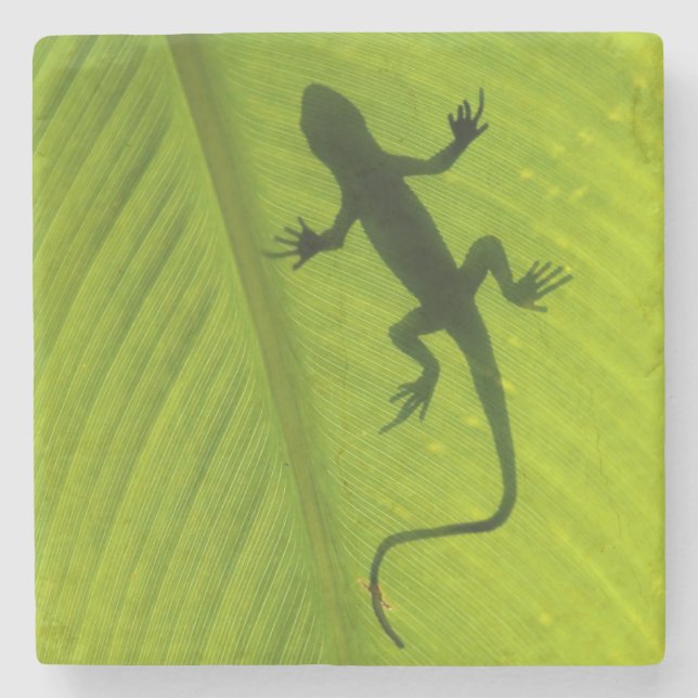Gecko-Silhouette Steinuntersetzer (Vorderseite)