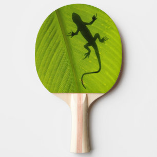 Gecko-Silhouette Tischtennis Schläger