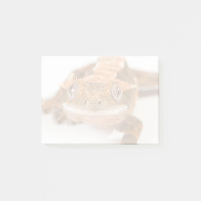 Gecko-Starren Post-it Klebezettel (Vorderseite)