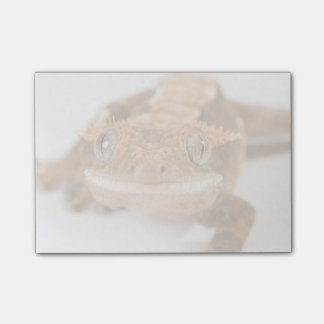 Gecko-Starren Post-it Klebezettel