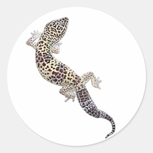 Gecko Stickers 01 (Vorderseite)
