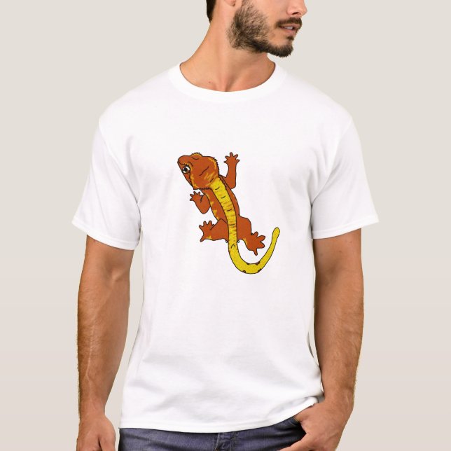 Gecko-T - Shirt mit Haube (orange) (Vorderseite)