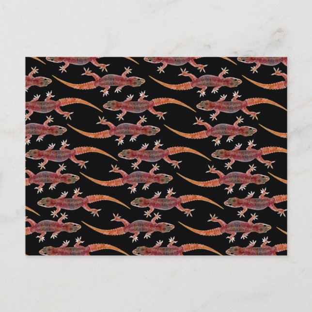 Geckos Postkarte (Vorderseite)