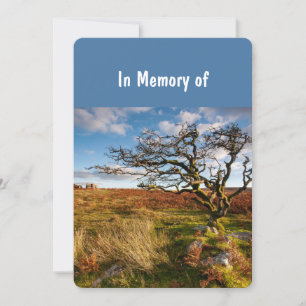 Gedächtnisdienst lädt schöne Wüste Savannah ein Einladung