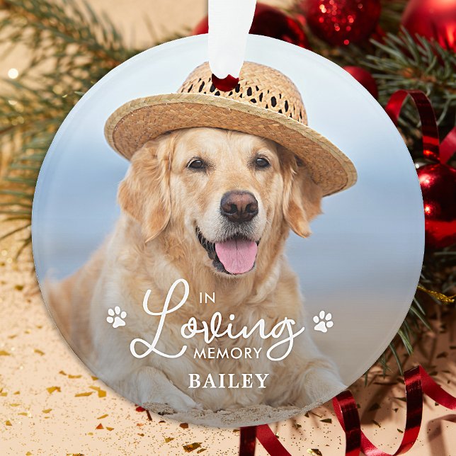 Gedächtnisgedächtnis für Hund-2-Foto Ornament (Von Creator hochgeladen)