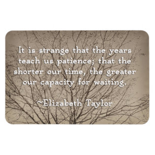 Gedächtniszaubermagnet Magnet