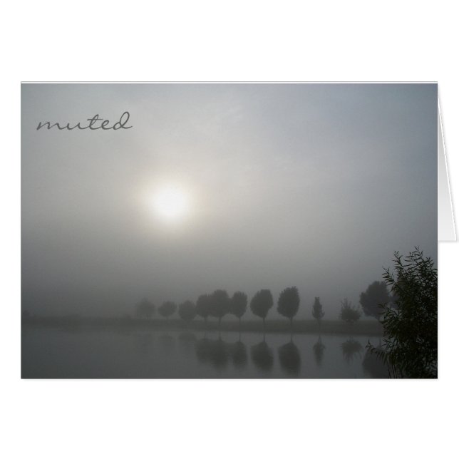 Gedämpft (Vorderseite (Horizontal))