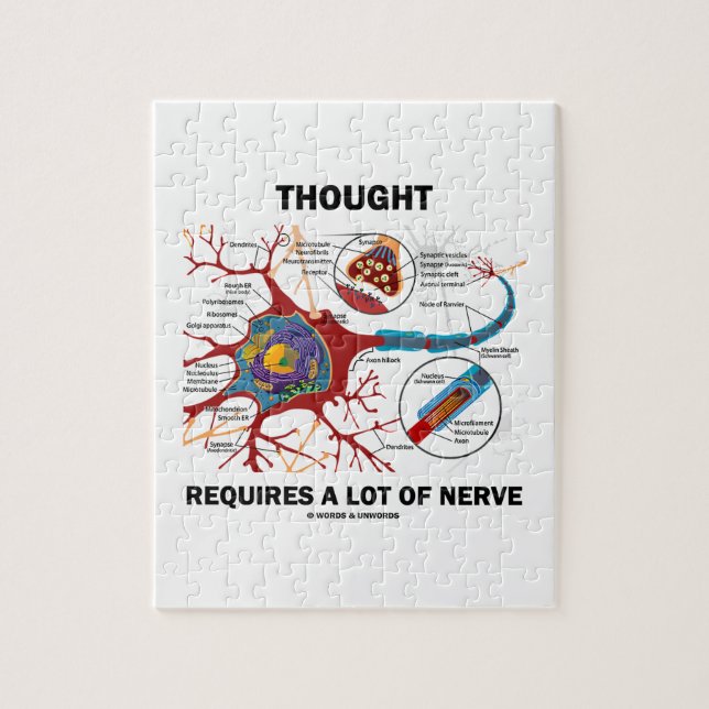 Gedanke erfordert viel Nerv (Neuron/Synapse) Puzzle (Vertikal)