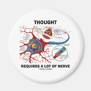 Gedanke erfordert viel Nerv (Synapse) Magnet