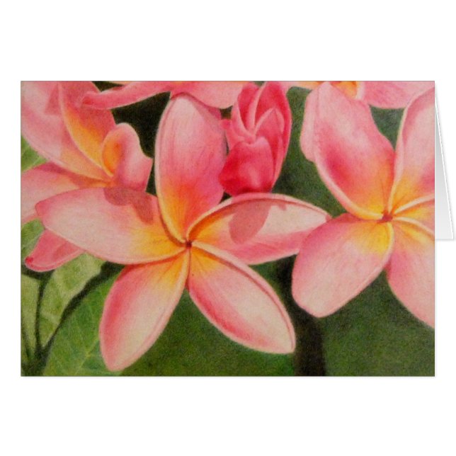 Gedanken an Plumeria (Vorderseite (Horizontal))