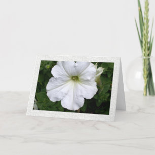 Gedanken an Sie Petunia Karte