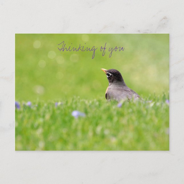 Gedanken an Sie Postkarte  (Vorderseite)