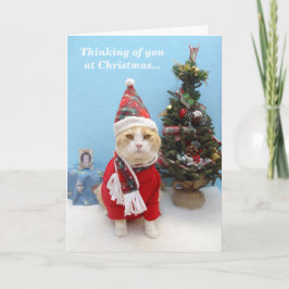 Gedanken über Sie zu Weihnachten