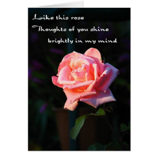 Gedanken von Ihnen Rose