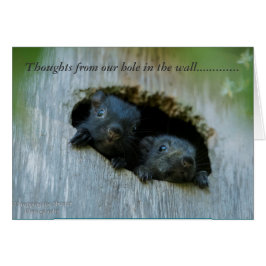 Gedanken von unserem Loch in der Wand ......