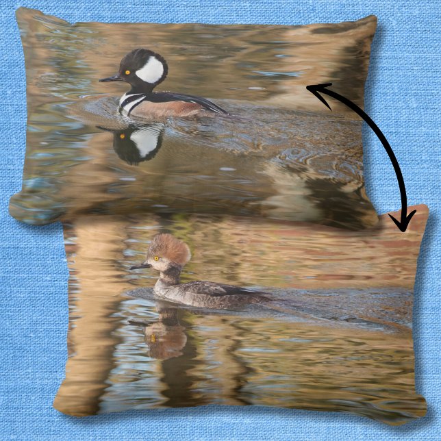 Gedeckte Mergansers Landschaftliches Baden auf dem Lendenkissen (Von Creator hochgeladen)