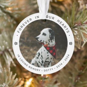 Gedenk-Tribut für Haustiere Hund/Katze Foto Ornament