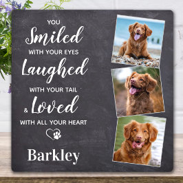 Gedenken an Foto-Hundeschema Fotoplatte