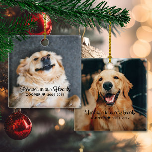 Gedenken an Haustiere Trost 2 Foto Keramikornament