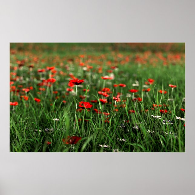 Gedenken (Gedenktag) Poster (Vorne)