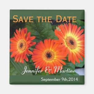 Gedenken Sie des Tages, Gerbera-Daisy-Blumen Magnet