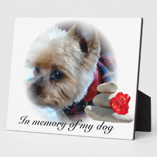 Gedenkfeier Fotoplatte