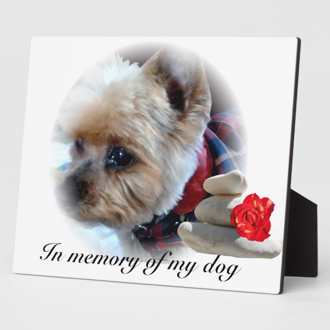 Gedenkfeier Fotoplatte (Seite)