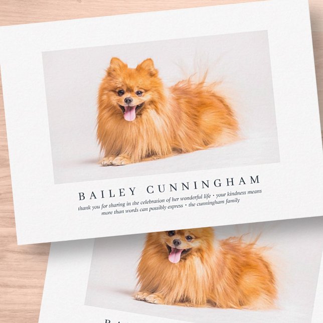 Gedenkfeier für Begleiter | Elegantes modernes Fot Dankeskarte (Von Creator hochgeladen)