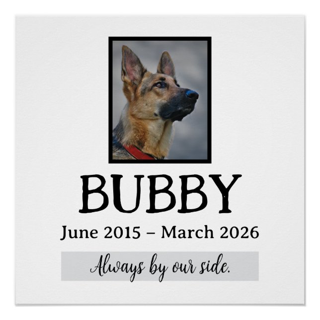 Gedenkfeier für verstorbene Haustiere - In unseren Poster (Vorderseite)