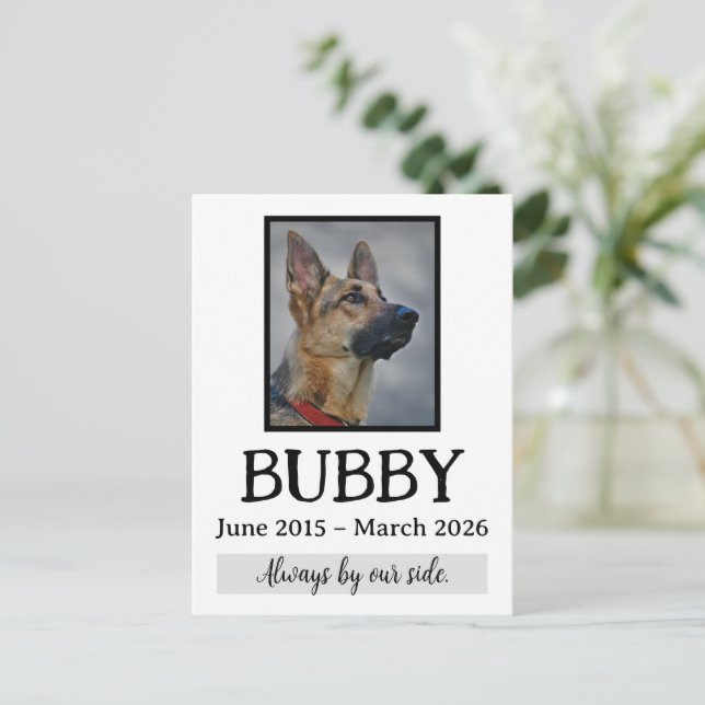 Gedenkfeier für verstorbene Haustiere - In unseren Postkarte (Stehend Vorderseite)