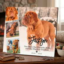 Gedenkfoto-Collage für Haustiere - Hund oder Katze