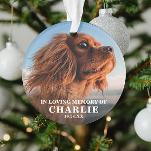 Gedenkfoto Haustier Gedenken Ornament