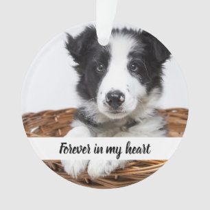 Gedenkfoto Hund Haustier Ornament