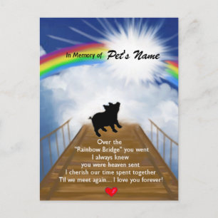 Gedenkgedicht von Rainbow Bridge für Schweine Postkarte