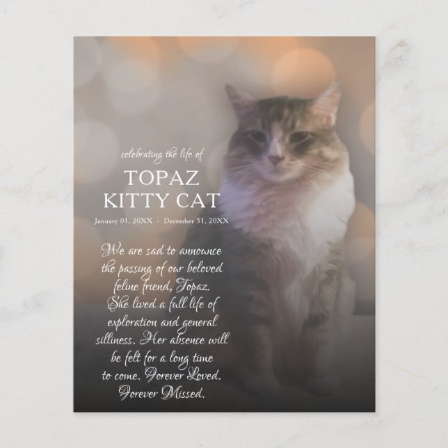 Gedenkstätte des rechten Fotos (Vorderseite)