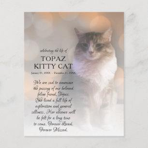 Gedenkstätte des rechten Fotos