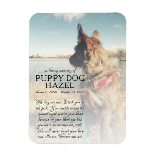 Gedenkstätte des rechten Fotos Magnet