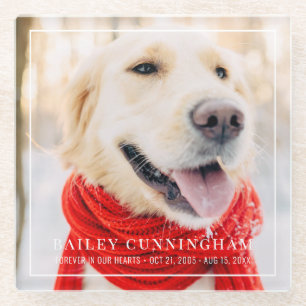 Gedenkstätte für Haustiere in unserem Gerahmten Fo Glasuntersetzer