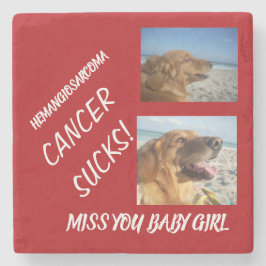 Gedenkstätte für Haustiere zum Hämangiosarkom Steinuntersetzer