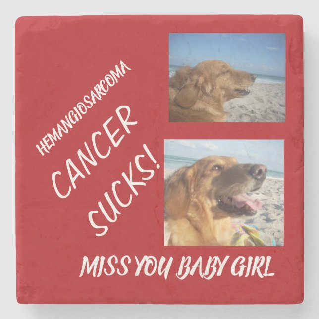 Gedenkstätte für Haustiere zum Hämangiosarkom Steinuntersetzer (Vorderseite)