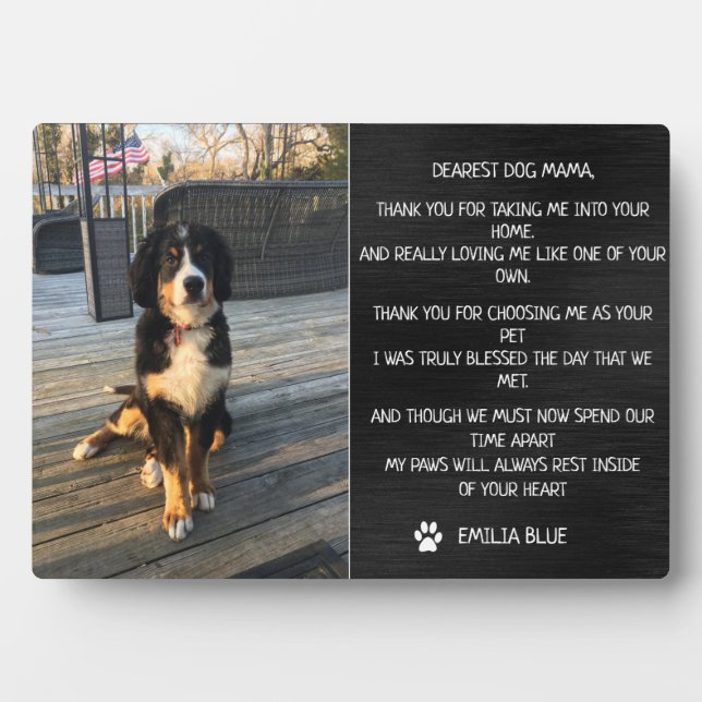 Gedenkstätte für Hunde in Gedächtniswahrnehmung Fotoplatte (Vorderseite)