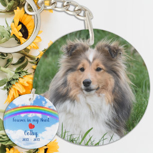 Gedenkstätte für Hunde-Rainbow-Bridge Schlüsselanhänger