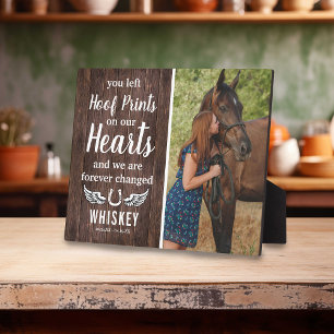 Gedenkstätte für Rustikales Pferd   FOTO Fotoplatte